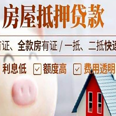 淮滨贷款助贷公司新渝启服成立时间久